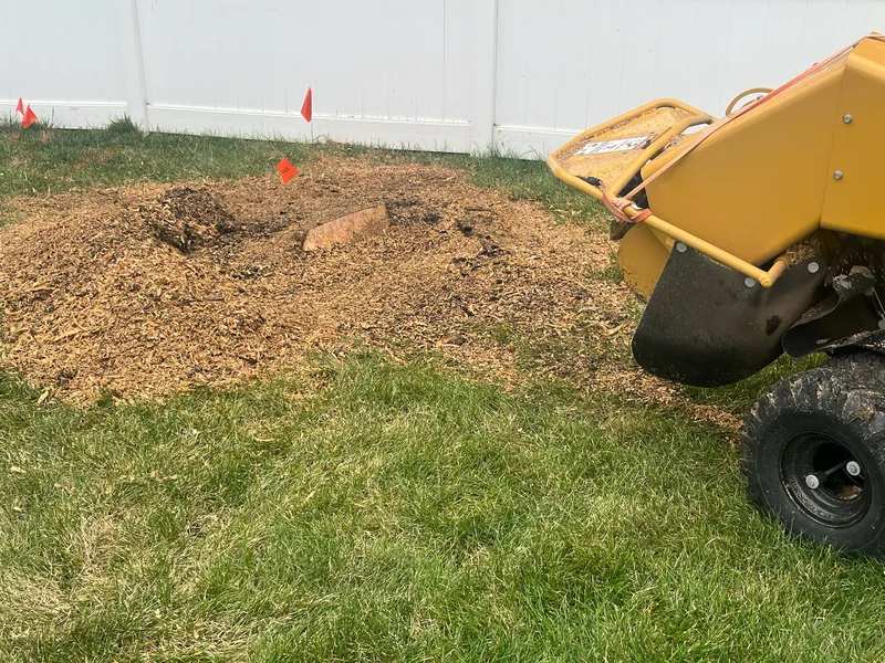 Yellow stump grinder parked beside a fresh mound of wood chips where a stump stood, green lawn and white vinyl fence in background