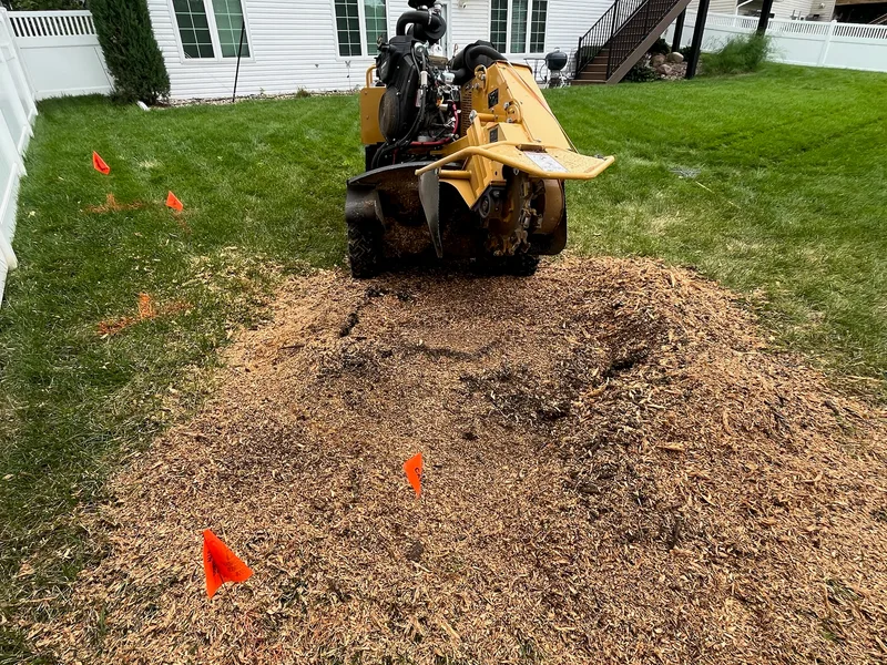 Stump grinder positioned over a large mound of fresh wood chips after removing a stump from a residential backyard in Lincoln, Nebraska