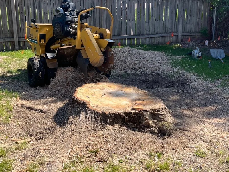 Yellow stump grinder positioned beside a large tree stump ready for grinding in a Lincoln, Nebraska residential backyard