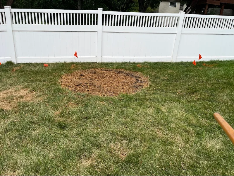 Circular mound of wood chips left after stump grinding in a residential backyard with a white vinyl fence
