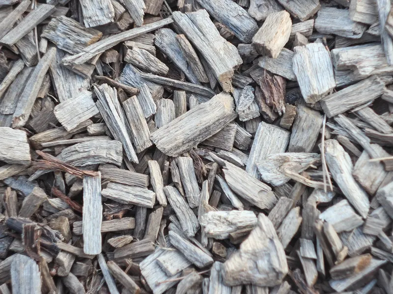 Pile of fresh wood chips produced by stump grinding, ready to keep as free mulch or be hauled away